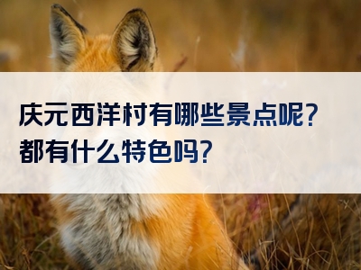 庆元西洋村有哪些景点呢？都有什么特色吗？