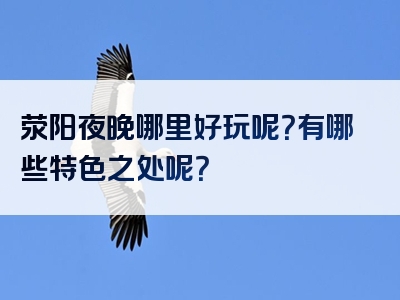荥阳夜晚哪里好玩呢？有哪些特色之处呢？