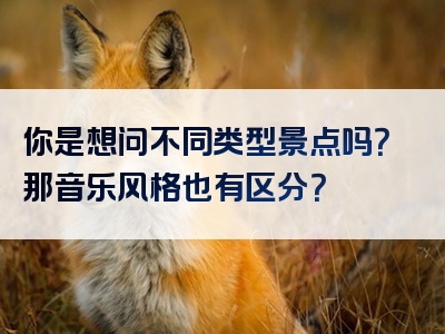 你是想问不同类型景点吗？那音乐风格也有区分？