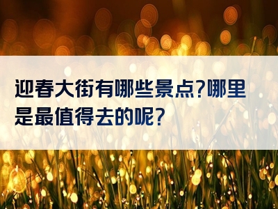 迎春大街有哪些景点？哪里是最值得去的呢？