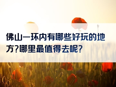 佛山一环内有哪些好玩的地方？哪里最值得去呢？