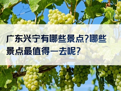 广东兴宁有哪些景点？哪些景点最值得一去呢？