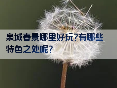 泉城春景哪里好玩？有哪些特色之处呢？