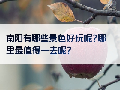 南阳有哪些景色好玩呢？哪里最值得一去呢？