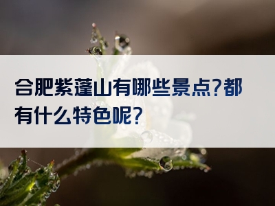 合肥紫蓬山有哪些景点？都有什么特色呢？