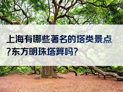 上海有哪些著名的塔类景点？东方明珠塔算吗？