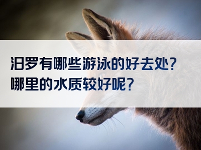 汨罗有哪些游泳的好去处？哪里的水质较好呢？