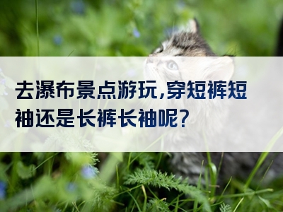 去瀑布景点游玩，穿短裤短袖还是长裤长袖呢？