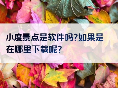 小度景点是软件吗？如果是在哪里下载呢？