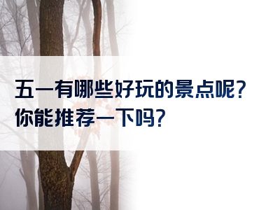 五一有哪些好玩的景点呢？你能推荐一下吗？