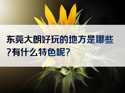 东莞大朗好玩的地方是哪些？有什么特色呢？