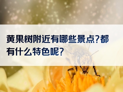 黄果树附近有哪些景点？都有什么特色呢？
