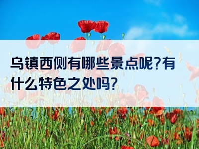 乌镇西侧有哪些景点呢？有什么特色之处吗？