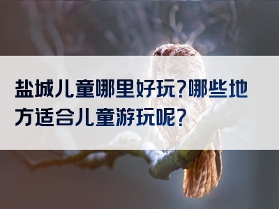 盐城儿童哪里好玩？哪些地方适合儿童游玩呢？