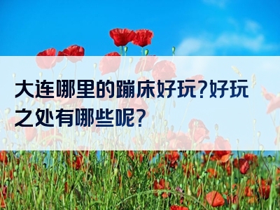 大连哪里的蹦床好玩？好玩之处有哪些呢？