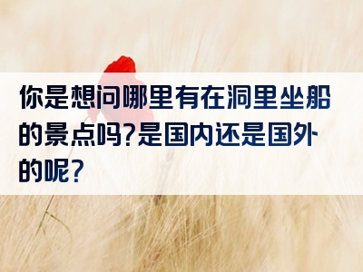 你是想问哪里有在洞里坐船的景点吗？是国内还是国外的呢？