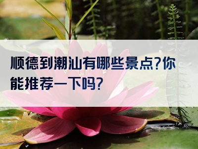顺德到潮汕有哪些景点？你能推荐一下吗？