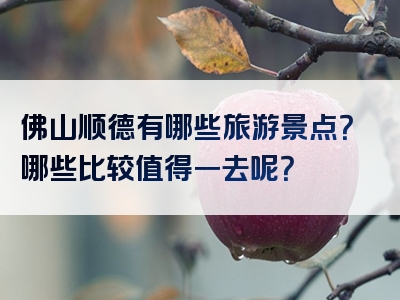 佛山顺德有哪些旅游景点？哪些比较值得一去呢？