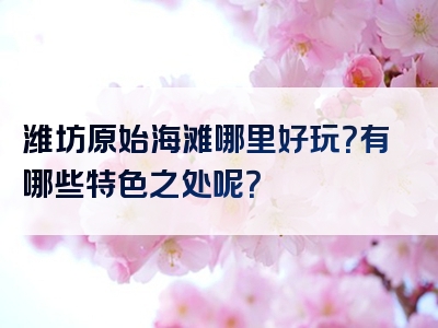 潍坊原始海滩哪里好玩？有哪些特色之处呢？