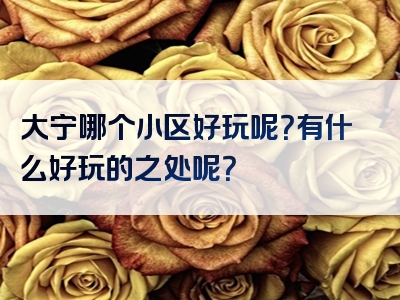 大宁哪个小区好玩呢？有什么好玩的之处呢？