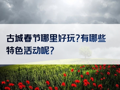 古城春节哪里好玩？有哪些特色活动呢？
