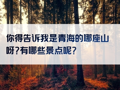 你得告诉我是青海的哪座山呀？有哪些景点呢？