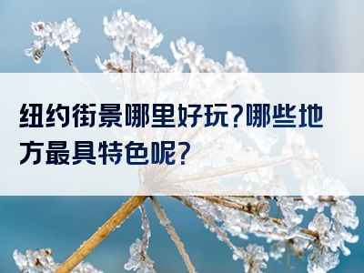 纽约街景哪里好玩？哪些地方最具特色呢？