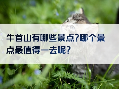 牛首山有哪些景点？哪个景点最值得一去呢？