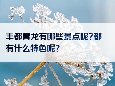 丰都青龙有哪些景点呢？都有什么特色呢？