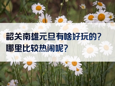 韶关南雄元旦有啥好玩的？哪里比较热闹呢？