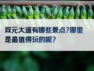 双元大道有哪些景点？哪里是最值得玩的呢？