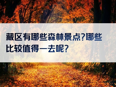 藏区有哪些森林景点？哪些比较值得一去呢？