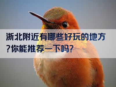 浙北附近有哪些好玩的地方？你能推荐一下吗？