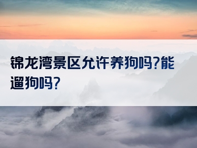 锦龙湾景区允许养狗吗？能遛狗吗？