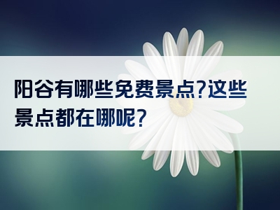 阳谷有哪些免费景点？这些景点都在哪呢？