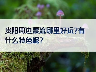 贵阳周边漂流哪里好玩？有什么特色呢？