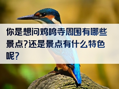 你是想问鸡鸣寺周围有哪些景点？还是景点有什么特色呢？