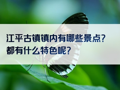 江平古镇镇内有哪些景点？都有什么特色呢？