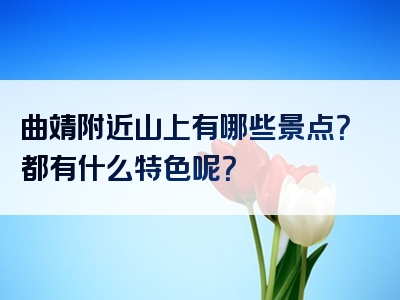曲靖附近山上有哪些景点？都有什么特色呢？