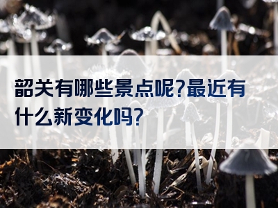 韶关有哪些景点呢？最近有什么新变化吗？
