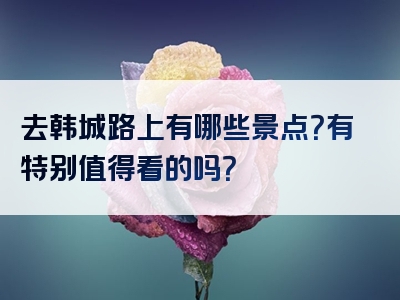 去韩城路上有哪些景点？有特别值得看的吗？