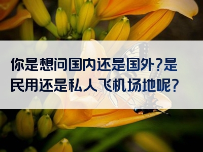 你是想问国内还是国外？是民用还是私人飞机场地呢？