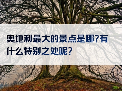 奥地利最大的景点是哪？有什么特别之处呢？