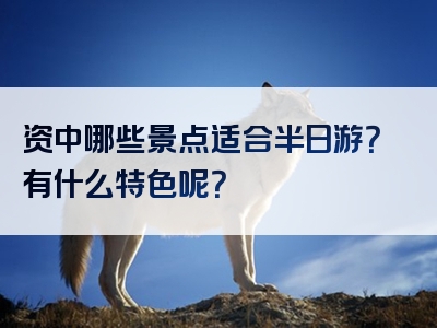 资中哪些景点适合半日游？有什么特色呢？