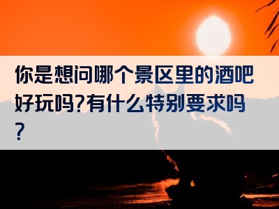 你是想问哪个景区里的酒吧好玩吗？有什么特别要求吗？