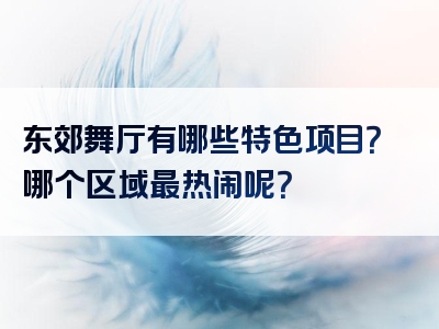 东郊舞厅有哪些特色项目？哪个区域最热闹呢？