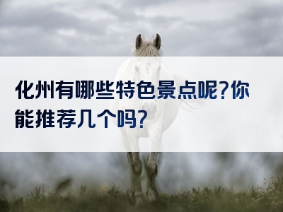 化州有哪些特色景点呢？你能推荐几个吗？