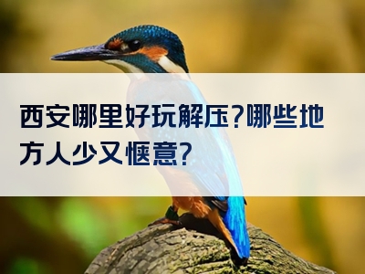 西安哪里好玩解压？哪些地方人少又惬意？