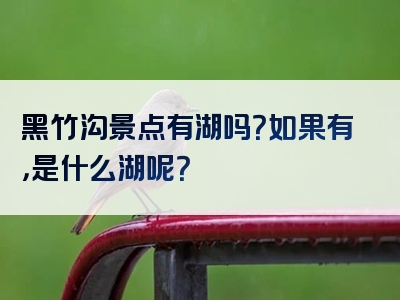 黑竹沟景点有湖吗？如果有，是什么湖呢？
