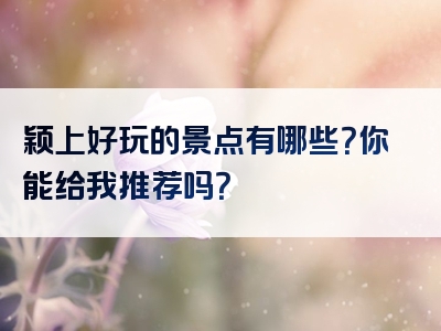 颖上好玩的景点有哪些？你能给我推荐吗？